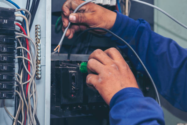 Best Electrical System Inspection  in Louisiana, MO