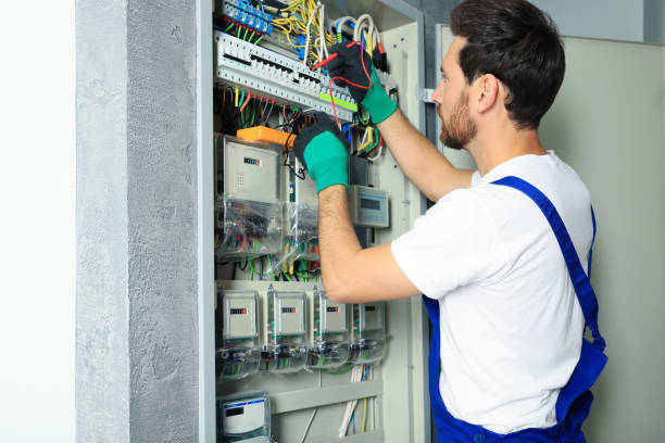 Best Generator Installation Services  in Louisiana, MO